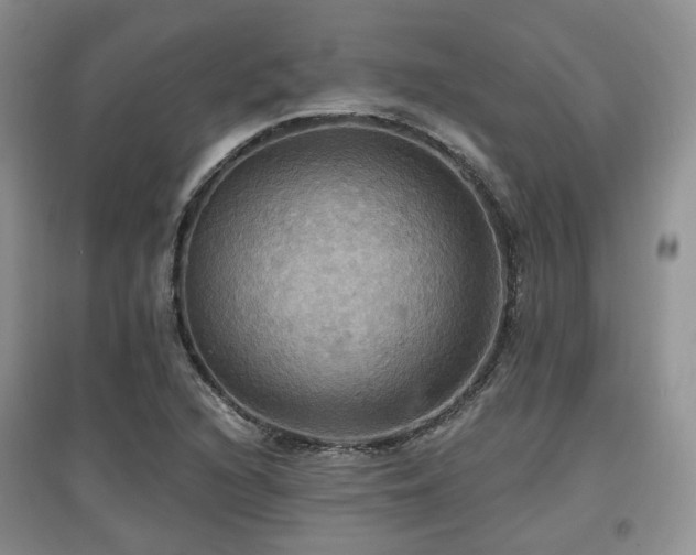 X0000097911216200803141411