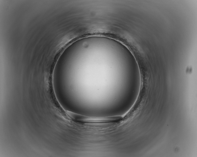X0000097911217200803141411