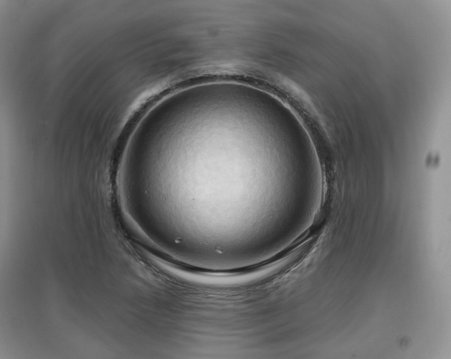 X0000097911218200803141411