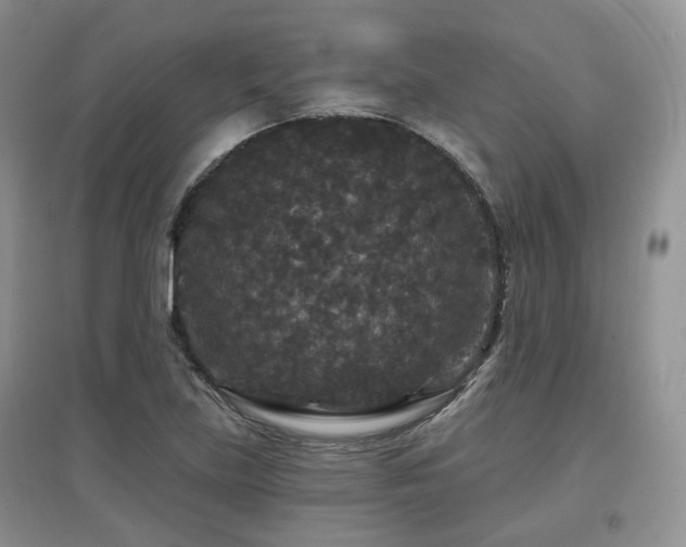 X0000097911219200803141411