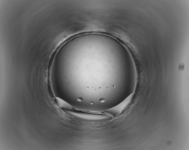 X0000097911220200803141411