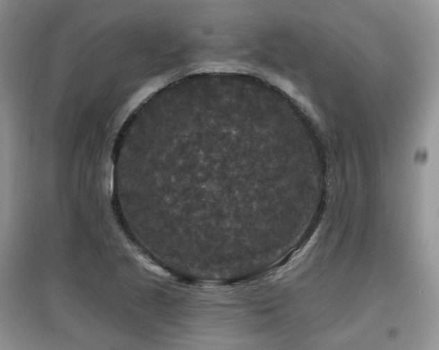 X0000097911221200803141411