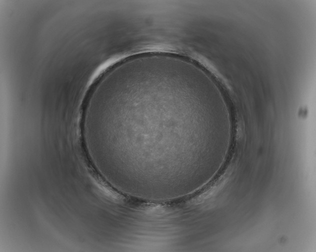 X0000097911222200803141411