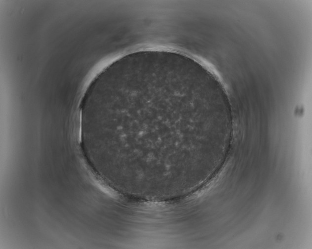 X0000097911223200803141411