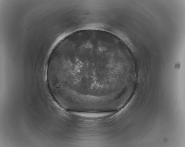 X0000097911224200803141411