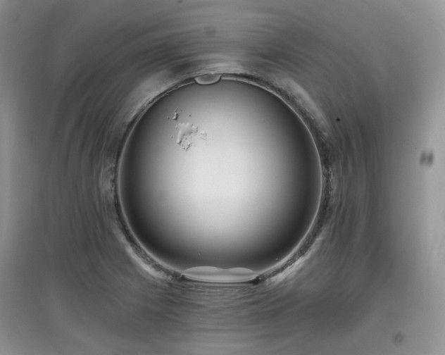 X0000097911225200803141411