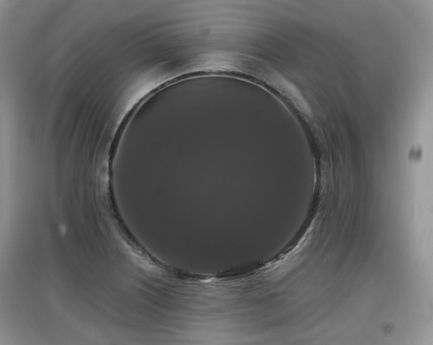 X0000097911226200803141411