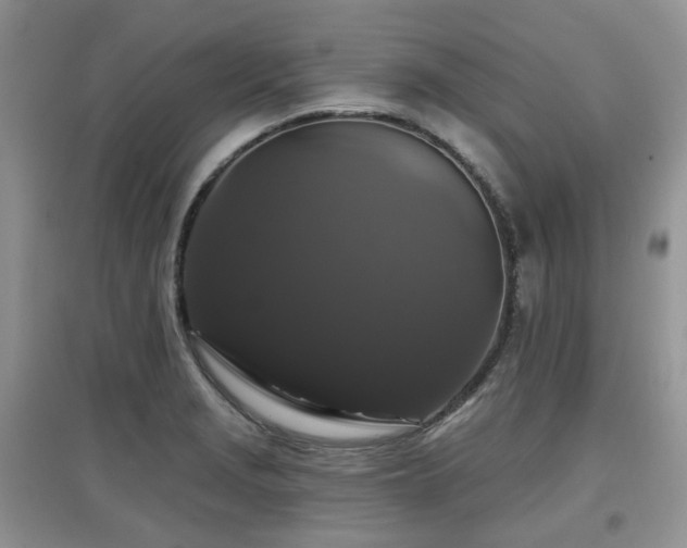 X0000097911229200803141411