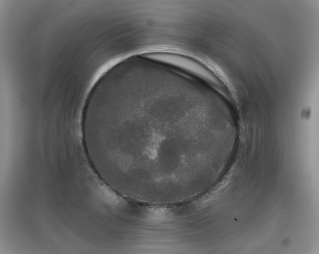 X0000097911230200803141411