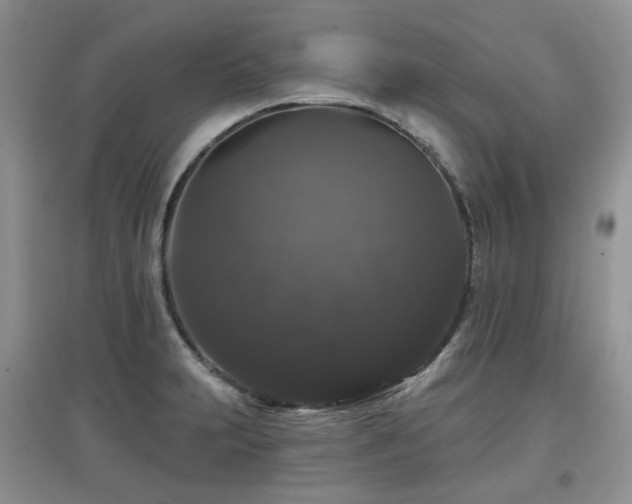 X0000097911231200803141411
