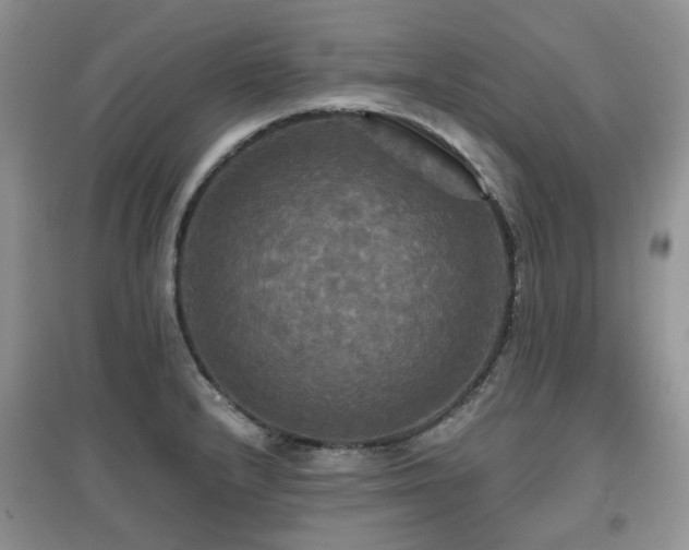 X0000097911232200803141411