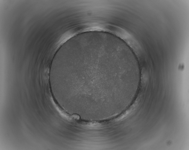 X0000097911233200803141411