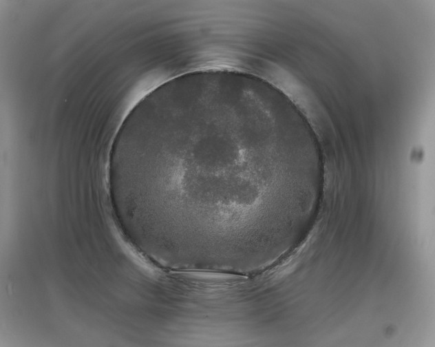 X0000097911234200803141411