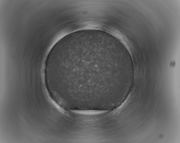 X0000097911235200803141411