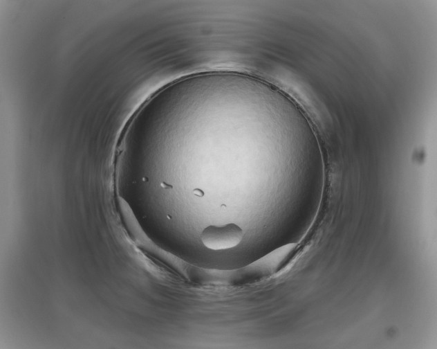 X0000097911236200803141411