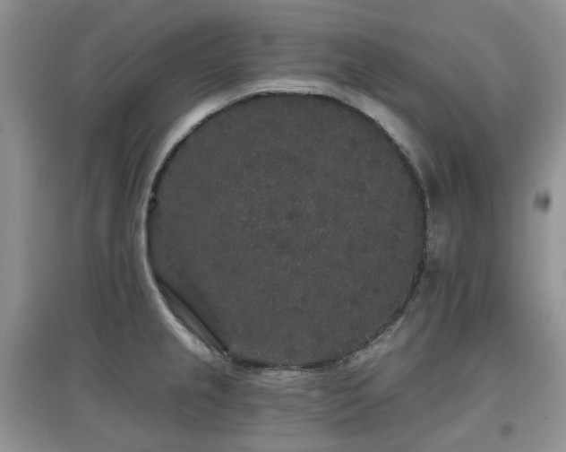 X0000097911237200803141411