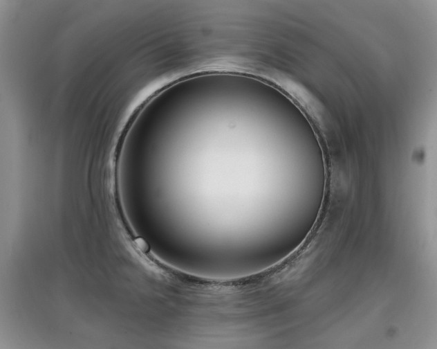 X0000097911238200803141411
