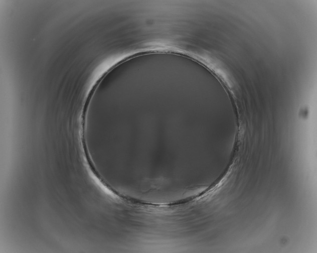 X0000097911239200803141411