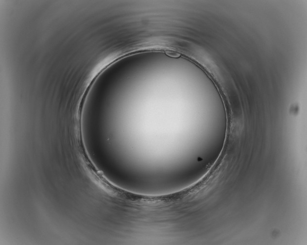 X0000097911242200803141411