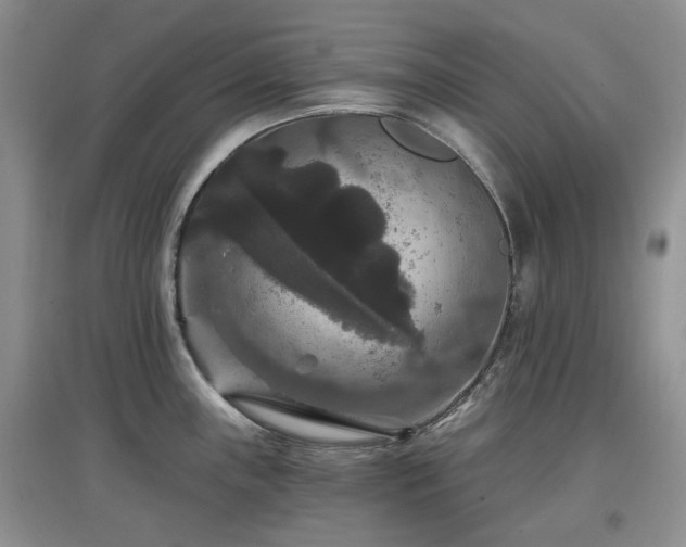 X0000097911243200803141411