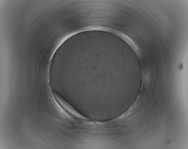 X0000097911244200803141411