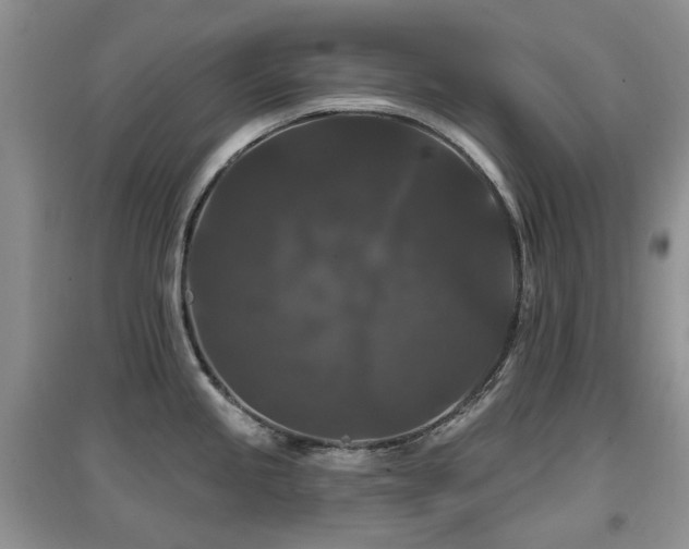 X0000097911245200803141411