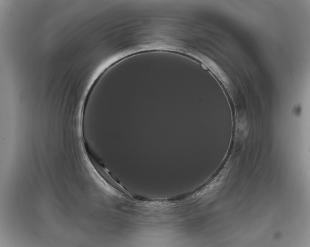 X0000097911246200803141411