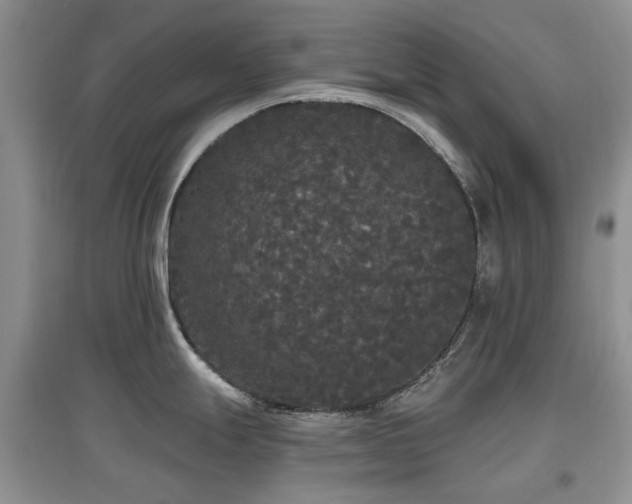 X0000097911247200803141411