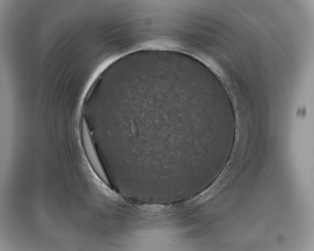 X0000097911248200803141411