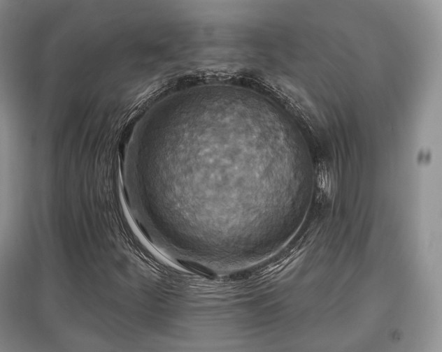 X0000097911252200803141410