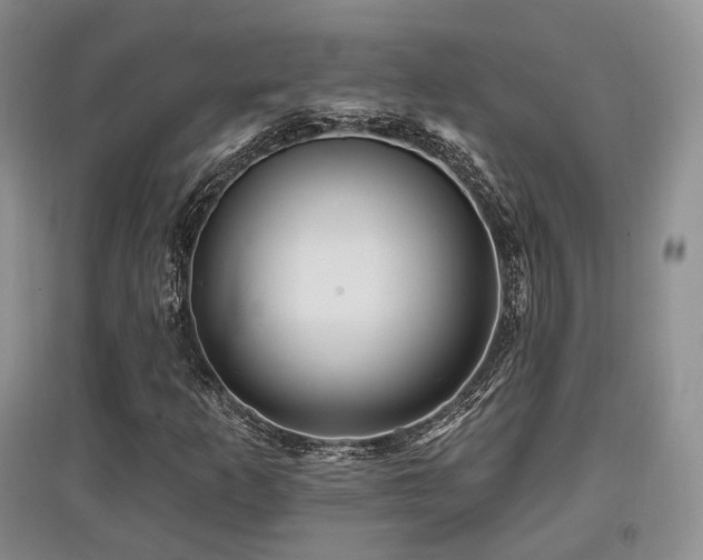 X0000097911253200803141410