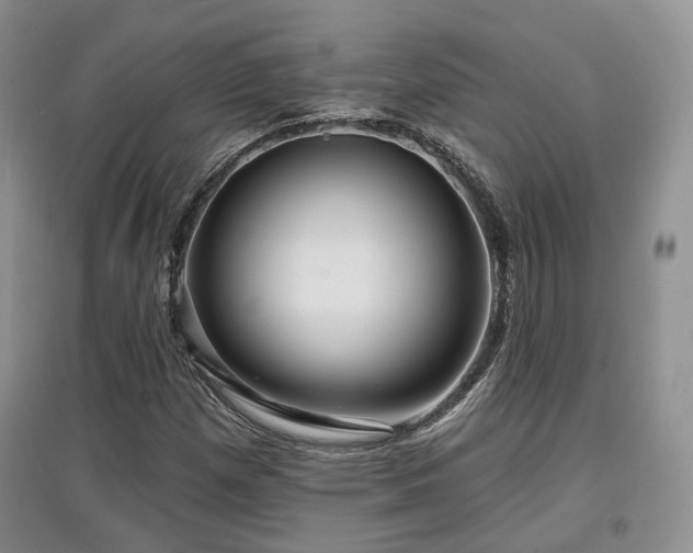 X0000097911257200803141410