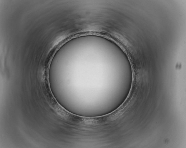 X0000097911258200803141410