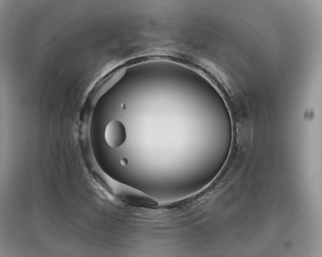 X0000097911260200803141410