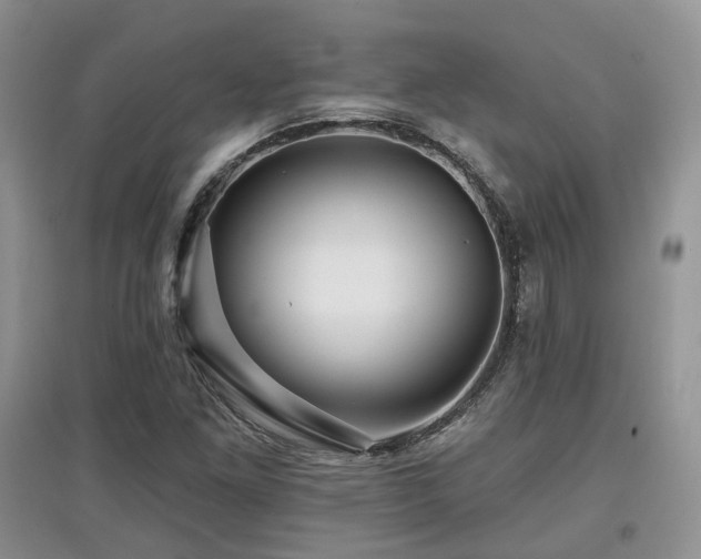 X0000097911261200803141410