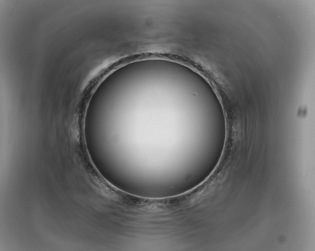 X0000097911262200803141410