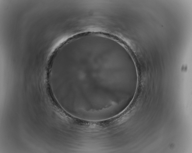 X0000097911263200803141410