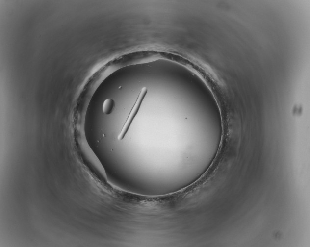 X0000097911264200803141410