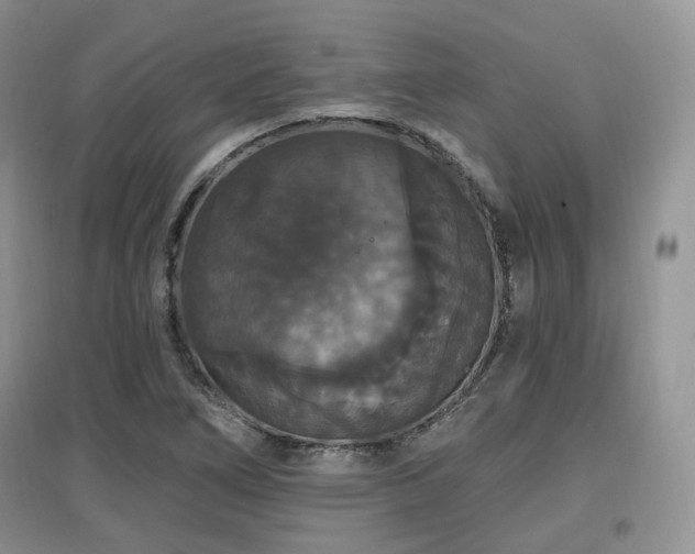 X0000097911266200803141410