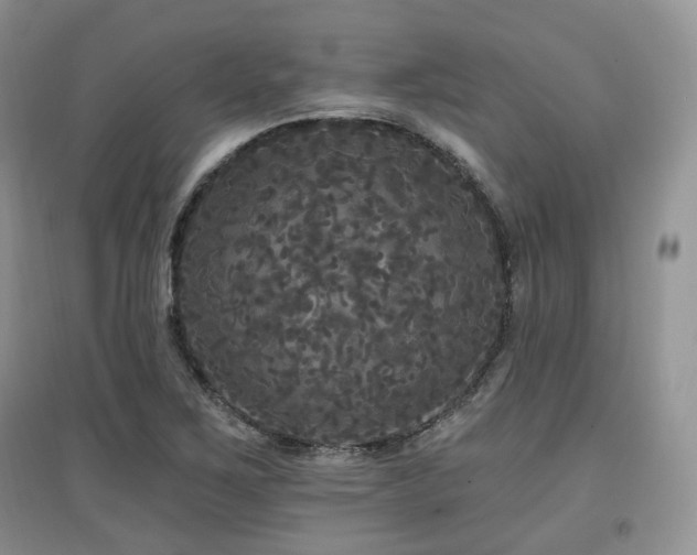 X0000097911267200803141410