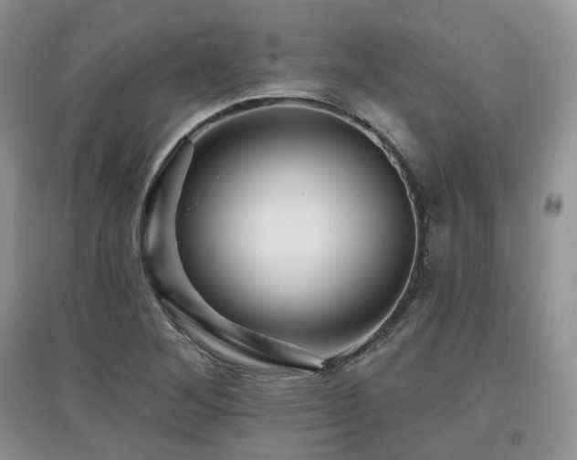X0000097911268200803141410