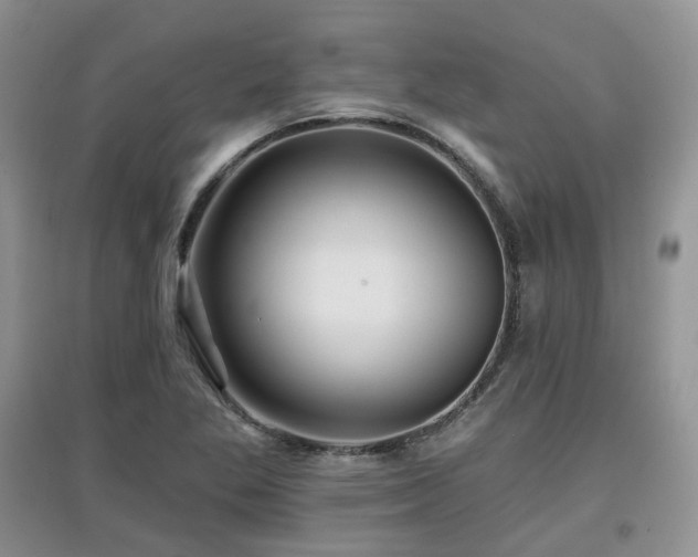 X0000097911269200803141410