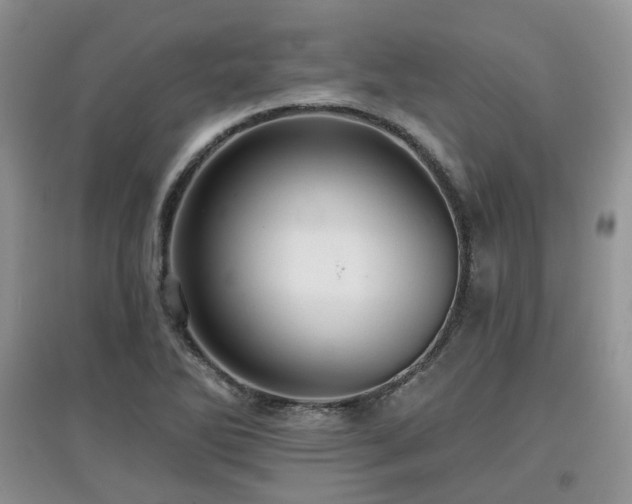 X0000097911270200803141410