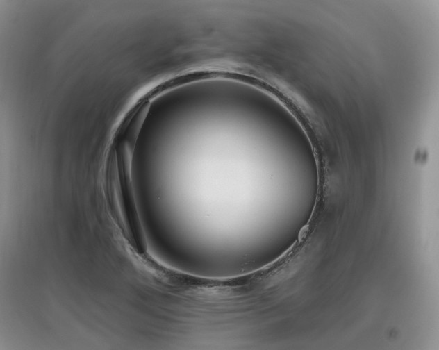 X0000097911272200803141410