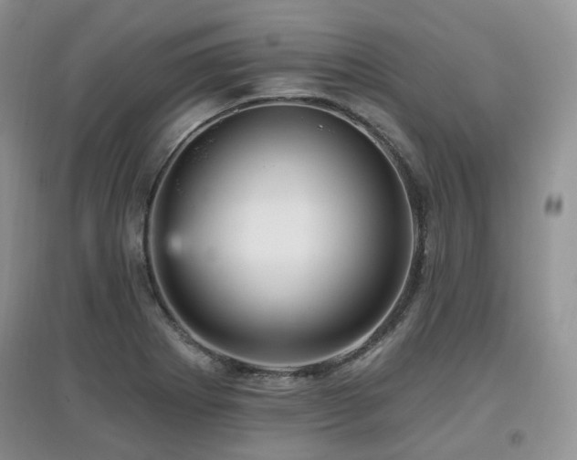 X0000097911273200803141410