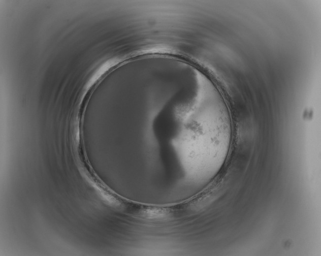 X0000097911274200803141410