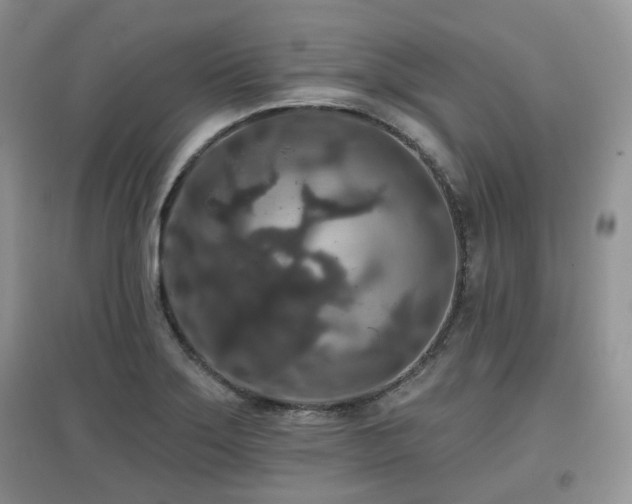X0000097911275200803141410