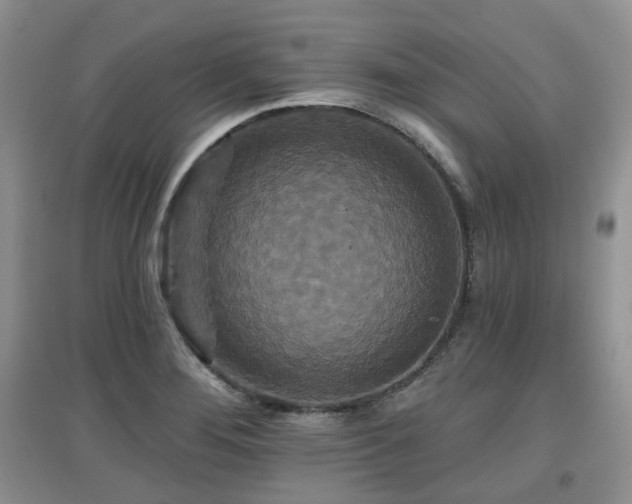 X0000097911276200803141410