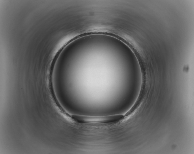 X0000097911277200803141410