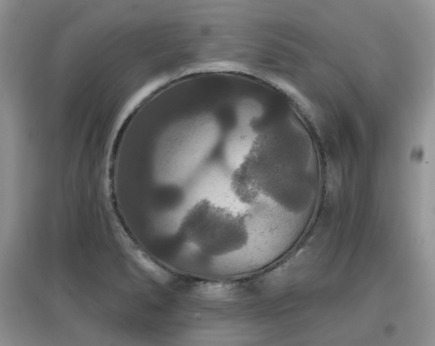 X0000097911278200803141410